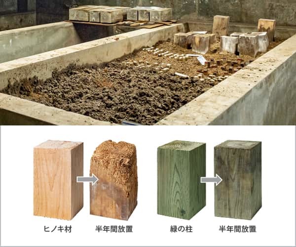 木材の腐れ試験をする施設の写真