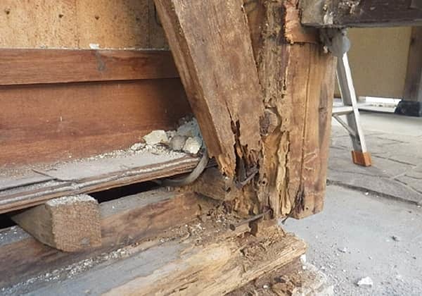 1階外周の構造材がシロアリに食べられてボロボロになっている写真