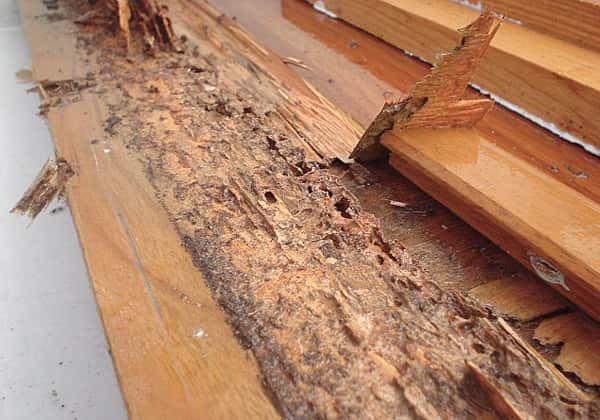 階段したの木材がシロアリに食べられてボロボロになっている写真