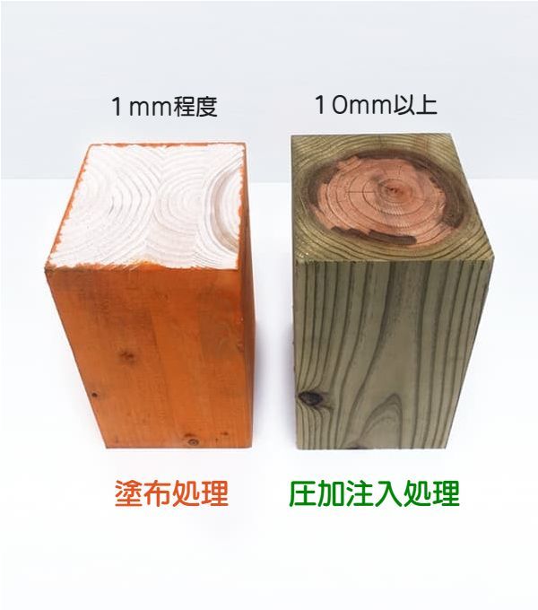 防蟻薬剤を塗布した木材と防腐防蟻薬剤を加圧注入処理した緑の柱の写真（薬剤の浸透度が断面で比較できる写真）