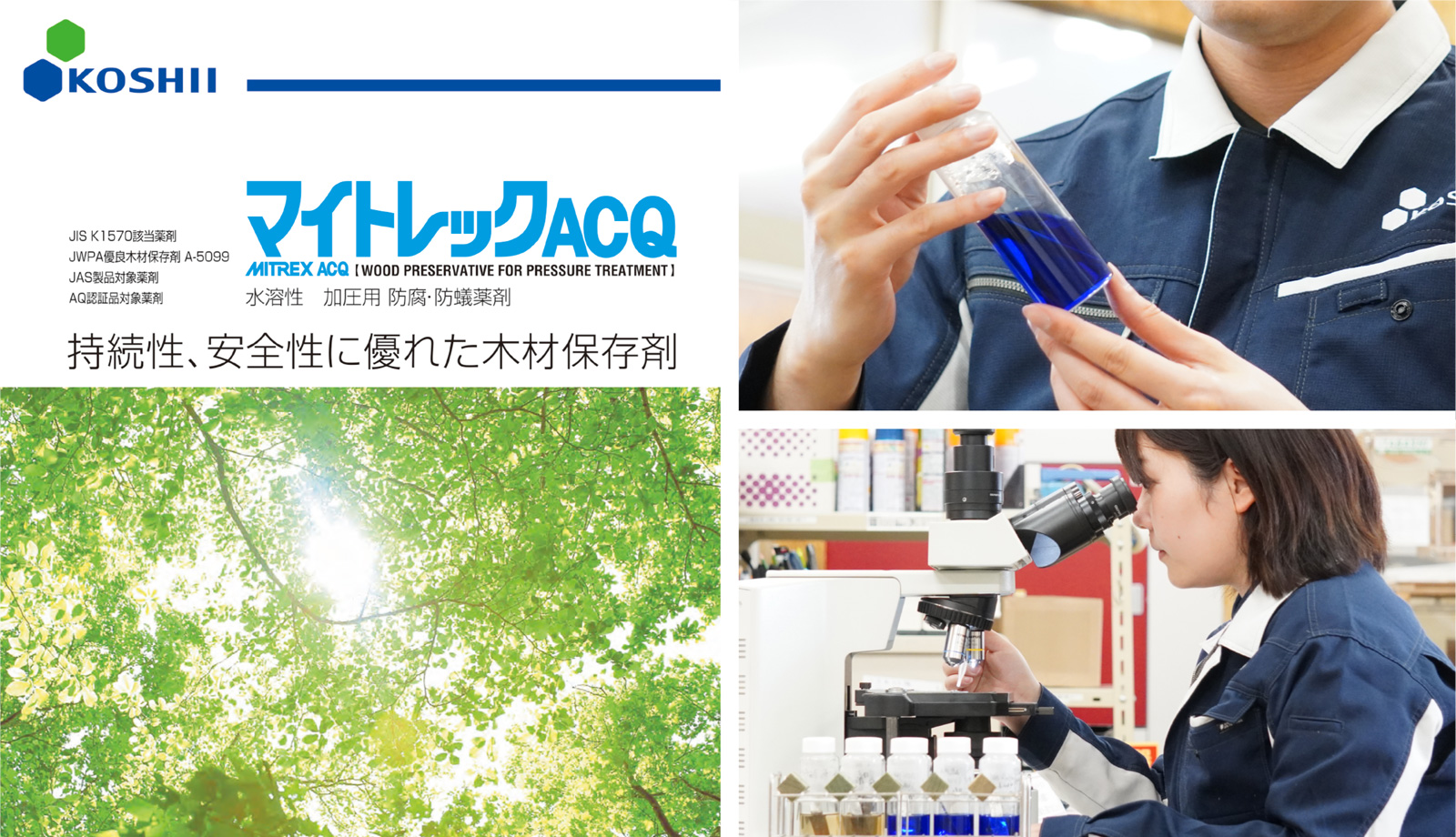 マイトレックACQカタログ